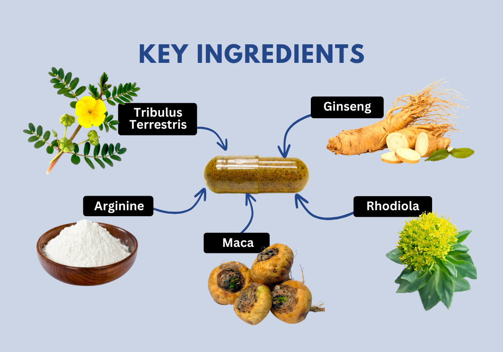 Key Ingredients