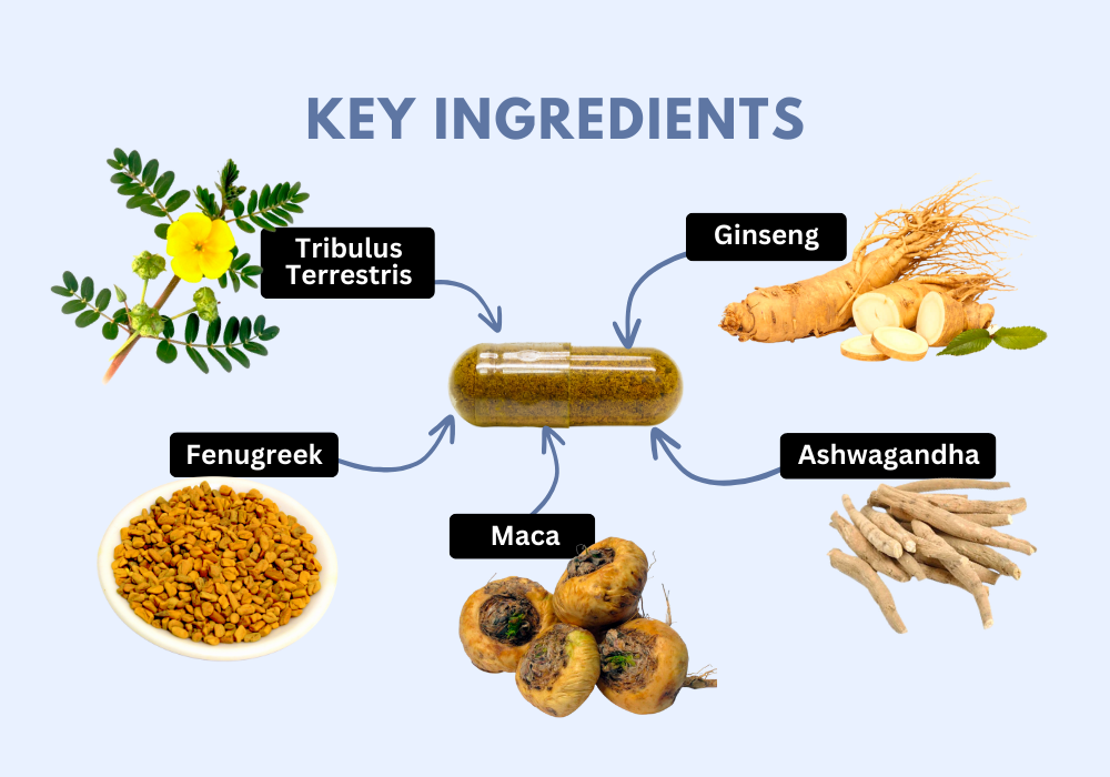 Key Ingredients